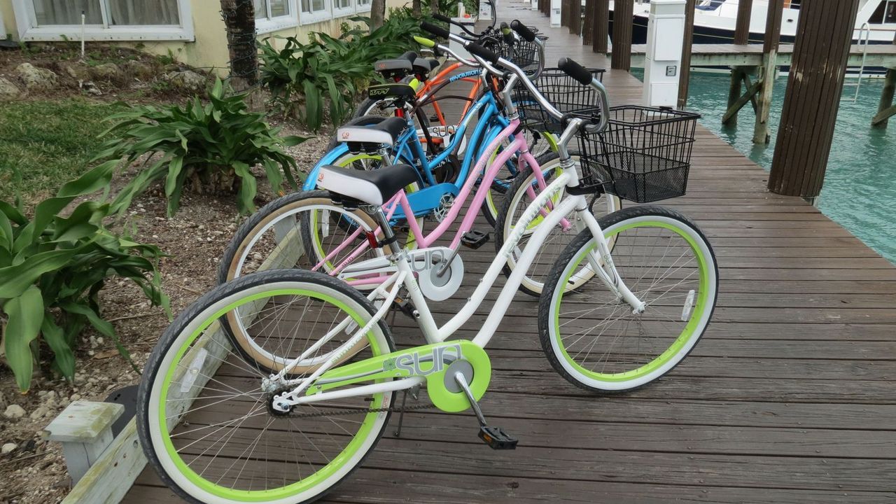 Complimentary Bicycles