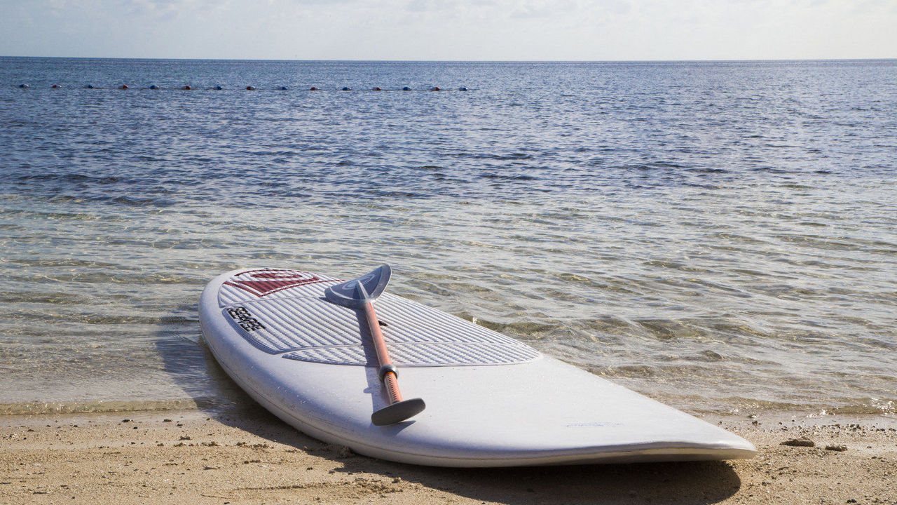 Complimentary Paddle Boards